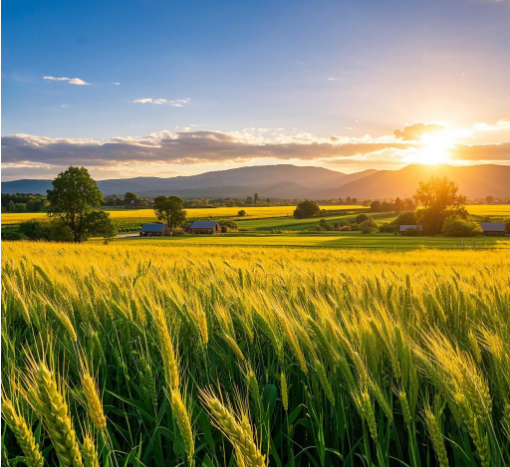 粮食安全新利器：粮食重金属检测仪优势解析