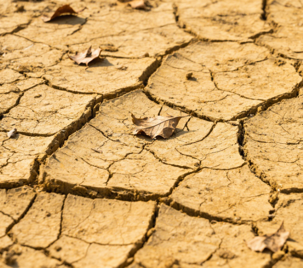 智能宅男视频污版下载氧化还原测定仪：精准监测湿度，优化农业灌溉与排水管理