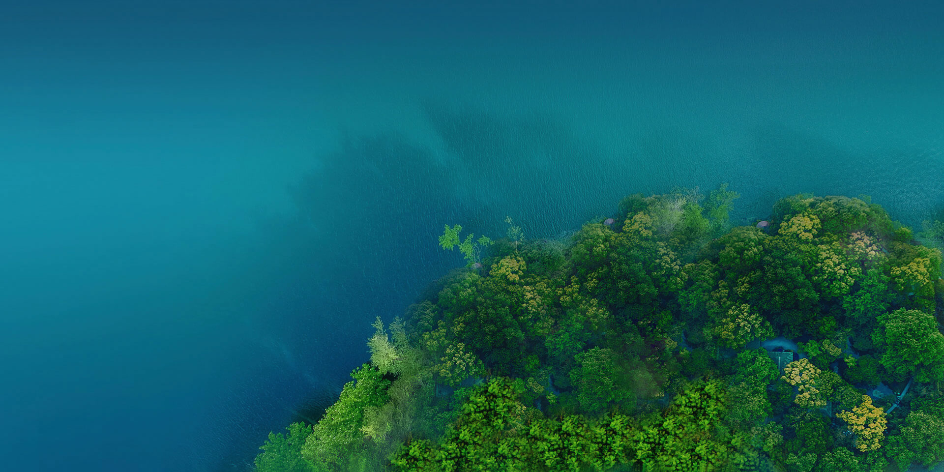 关于宅男视频APP污