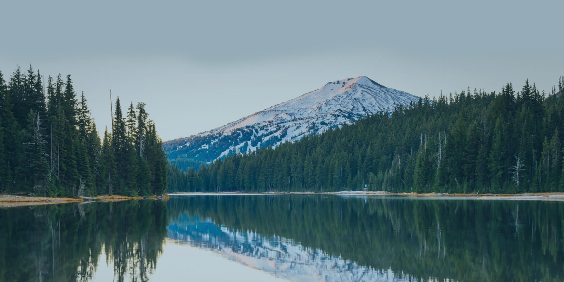 在线观看宅男视频